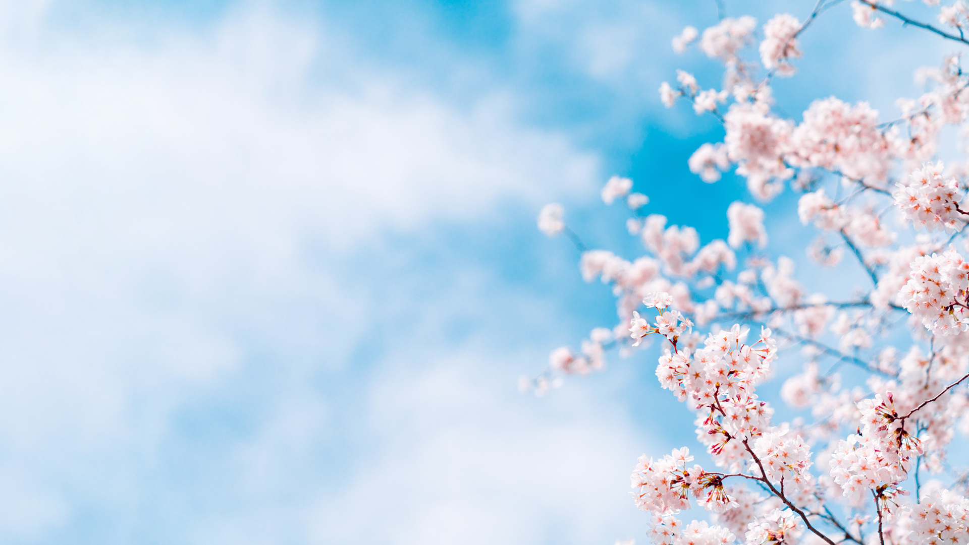 司法書士 高田 友子